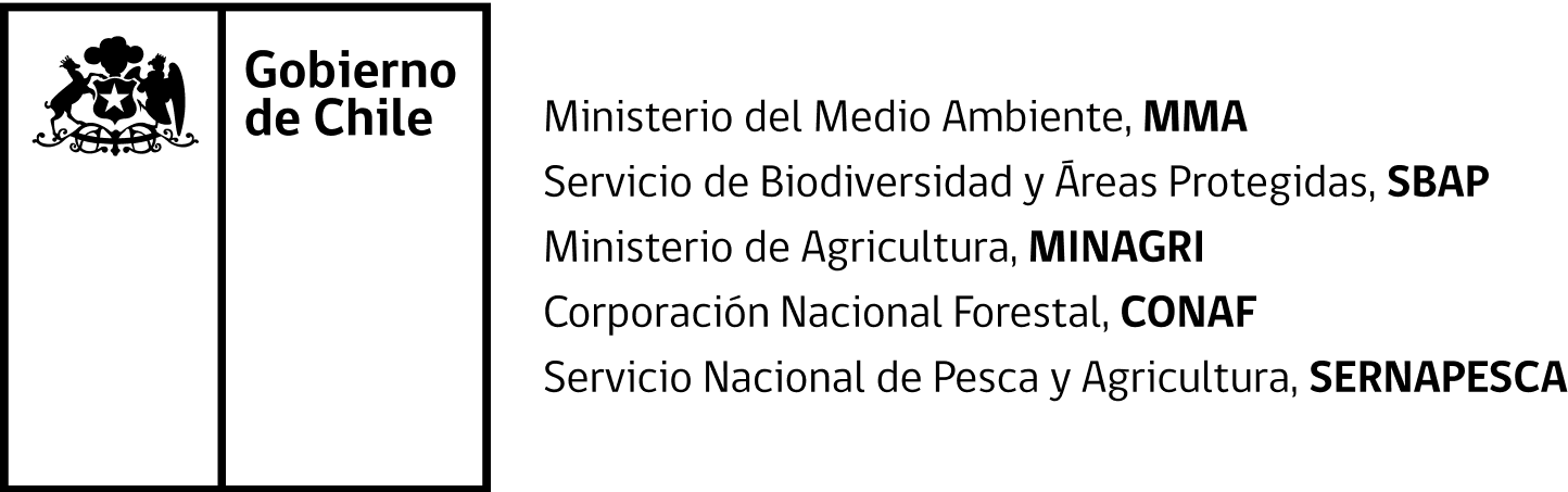 Gobierno de Chile