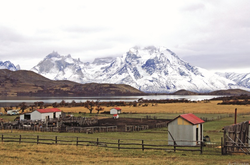 Comnidades Portal, imagen Pía Vergara