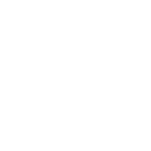 Fundación Reñihué